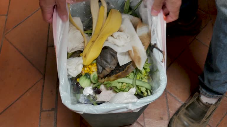Best Commercial Junk Removal  in International Falls, MN