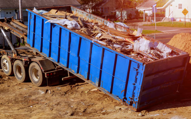 Best Yard Waste Removal  in International Falls, MN